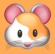龙物视频下载APP应用